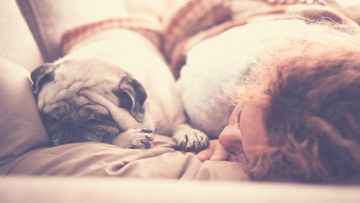 Woman napping with dog